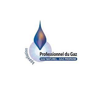 logo professionnel du gaz